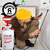 Pulverizador Fumigador A Presion 5 Litros Kld Kld367 - comprar online