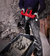 Mezclador De Pintura Cemento Einhell Te-mx 1600-2 1600w M14