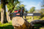 Motosierra A Nafta Omaha Tools Omaha Pro 58cc Ms58 3.2hp