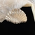 Broche Ostra Plateado - comprar online