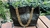 Bolso rock star