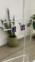 AROS PLATA 925 | RECTANGULO VIOLETA - comprar online