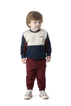 CONJUNTO MOLETOM SOF PELUCIADO/MOLETOM SARJADO | Tam 1 a 3 anos 25554 - comprar online