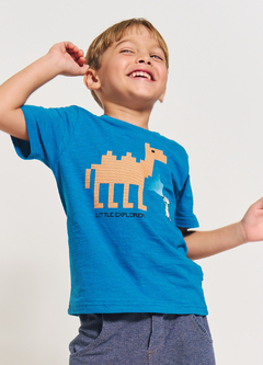 CAMISETA PASSEIO NO CAIRO 59822 - comprar online