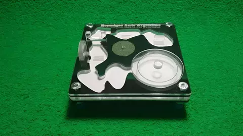 Hormiguero de acrílico con esponja 10x10
