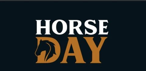 Marca 3 de HORSEDAY