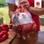 Pollo entero eviscerado con menudos (20 KG aprox.) en internet