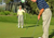Varillas de Alineación para Práctica de Golf - comprar online