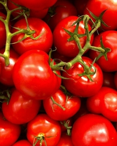 Tomate redondo