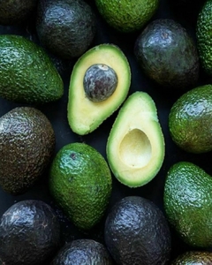Palta