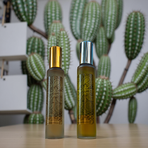 Cactus - comprar en línea