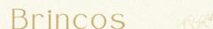 Banner da categoria Brincos