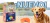 Banner de Dinumex