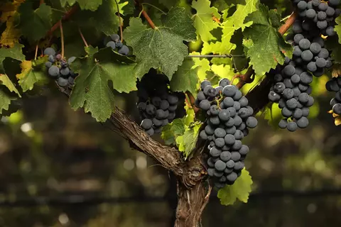 Banner de la categoría Destacados