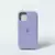 iPhone 12 en internet
