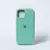 iPhone 12 en internet