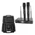 Sistema de Microfone Sem Fio Profissional Duplo Armer AX802M com Case - comprar online