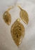 Conjunto Verdejar