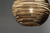 Lampara Colgante Salix Deco Diseno Carton Corrugado E27 Led - Tienda Objetos