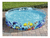 Pileta Rigida Redonda Animales Marinos 183x38 Bestway 55030 en internet