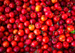 Geleia de Acerola Fruta Pura na internet