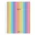 Caderno Spiro 10 Matérias Com Adesivo Jandaia - comprar online