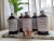Difusor de varillas - Cher - tienda online