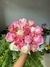 Buquê de Noiva Delicado com Rosas Naturais, Egípcia e Astromélias – Um Toque de Amor no Seu Grande Dia