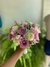 Buquê de Noiva Delicado com Rosas Naturais, Egípcia e Astromélias – Um Toque de Amor no Seu Grande Dia