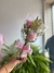 Dueto de Rosas Naturais Coloridas – Um Toque Sutil de Carinho - comprar online