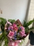 Buquê Misto de Rosas Coloridas – De 6 a 30 Rosas - comprar online