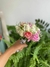 Buquê de Noiva Delicado com Rosas Naturais, Egípcia e Astromélias – Um Toque de Amor no Seu Grande Dia na internet