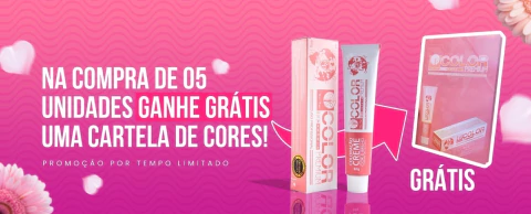 Carrossel 1