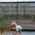 Porta Pet de Segurança em Plástico – Fácil Instalação - eden global