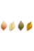 Conchiglie N°36 Tricolor en internet