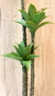 Arbol ramificado 125 cm - comprar online