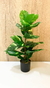 Planta artifical variegada 80cm en internet