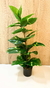 Planta artifical variegada 80cm
