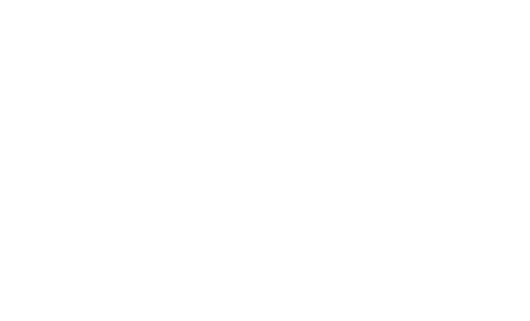 Rapasil