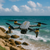 Imagem do Drone S108 Pro