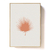 Simple Leaf - comprar online