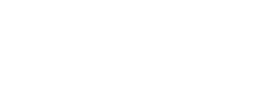 Camaleomix
