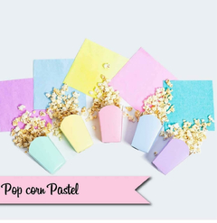 Cajas Pochocleras x10