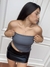 Mini LARA en internet