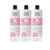 Kit C/3 Selagem Premiun Rosa Mosqueta Dois Corações 1L