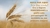 Imagem do banner rotativo Marino Fashion Store