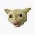 Gato meme 1