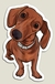 perro salchicha