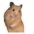 Ratita mood
