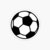 Pelota futbol